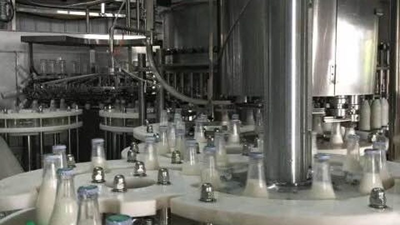 医用冻干机选购指南：深度解析高性价比品牌甄别技巧
